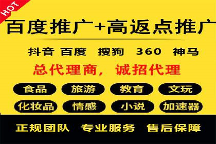 百度推广成功案例分析